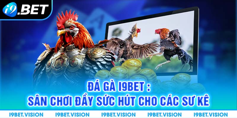 Đá Gà i9BET: Sân Chơi Đầy Sức Hút Cho Các Sư Kê