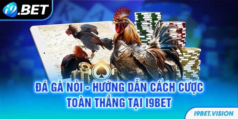 Đá Gà Nòi - Hướng Dẫn Cách Cược Toàn Thắng Tại i9BET