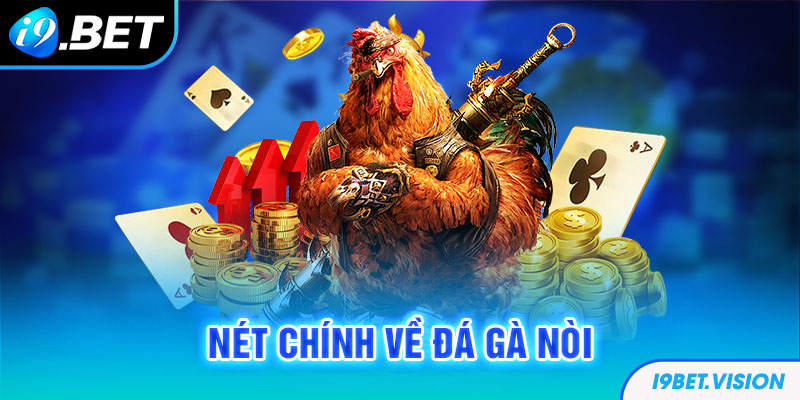 Nét chính về đá gà nòi 