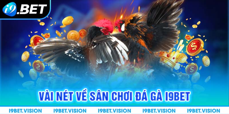 Vài nét về sân chơi đá gà i9BET