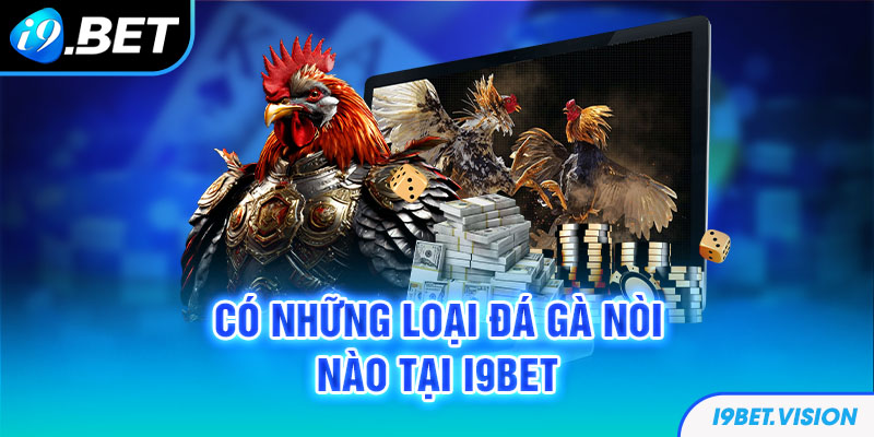 Có những loại đá gà nòi nào tại i9BET 