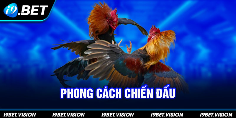 Phong cách chiến đấu