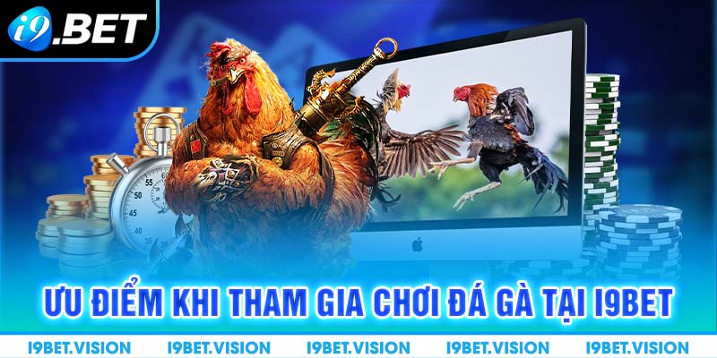 Ưu điểm khi tham gia chơi đá gà tại i9BET