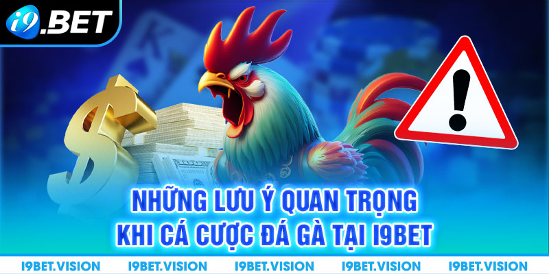 Những lưu ý quan trọng khi cá cược đá gà tại i9BET