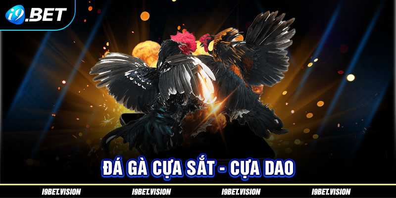 Đá gà cựa sắt - cựa dao