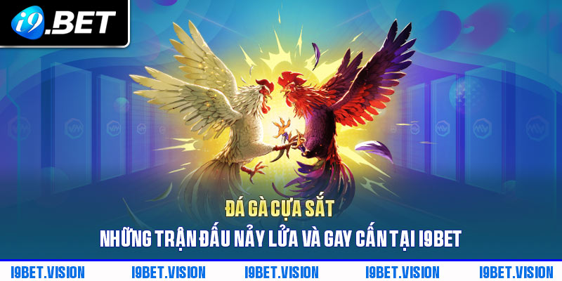 Đá Gà Cựa Sắt - Những Trận Đấu Nảy Lửa Và Gay Cấn Tại I9BET