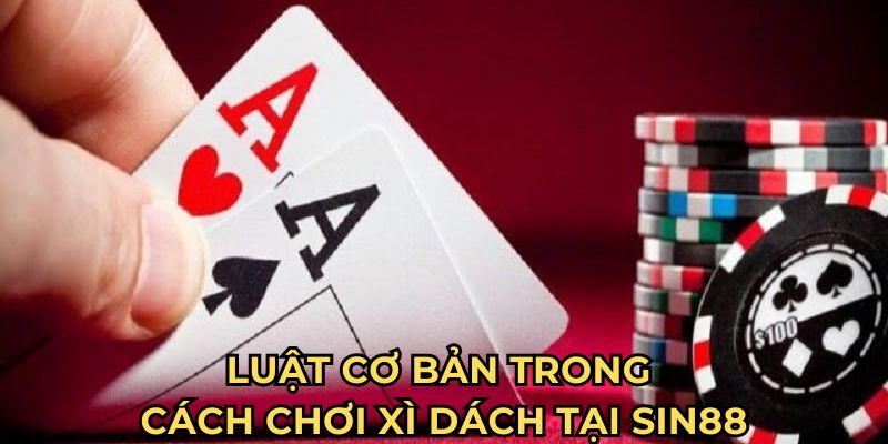 Luật cơ bản trong cách chơi xì dách tại Sin88